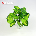 Home decoration customized artificial green plant foliage